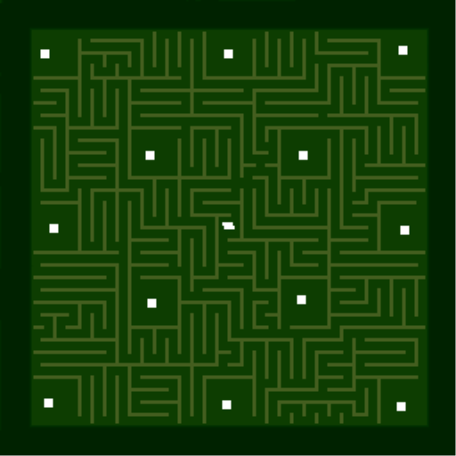 (12) Maze V4